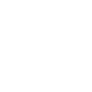 Google reviews for YNO Designs